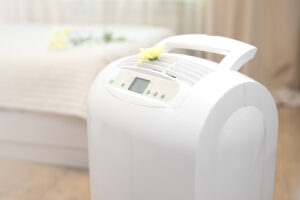 air purifier vs humidifier
